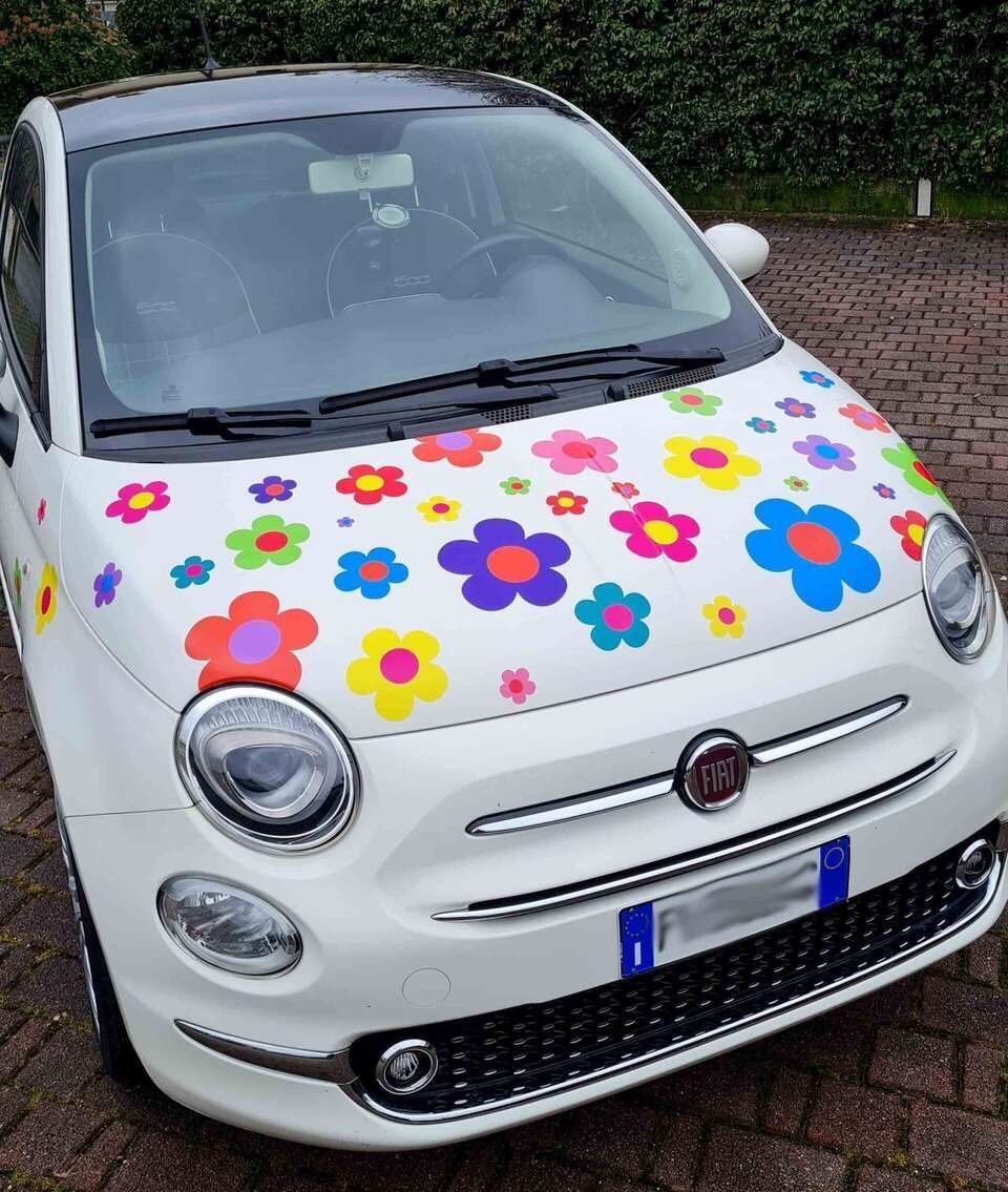 servizio di decorazione automezzi a Gorizia e dintorni