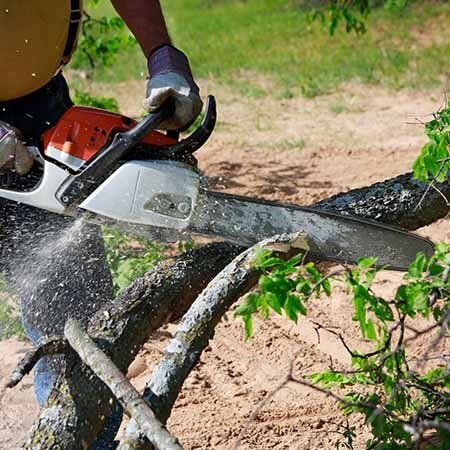 Man Cutting a Fallen Tree — Tree Care Services in New Braunfels, TX
