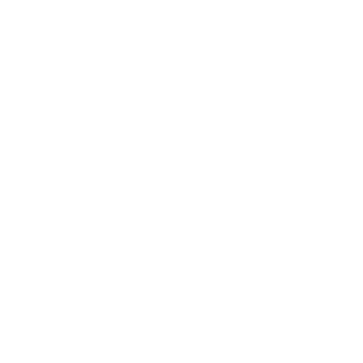 full sanitization services