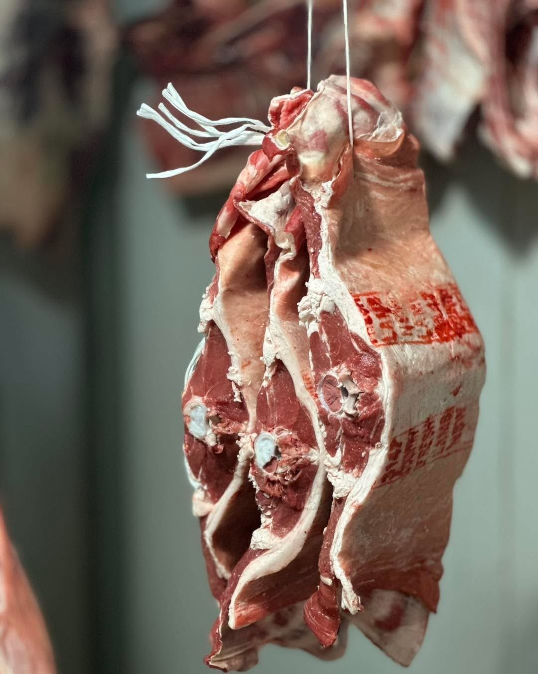 Raw lamb cuts hanging, tied with string. Red and white meat.