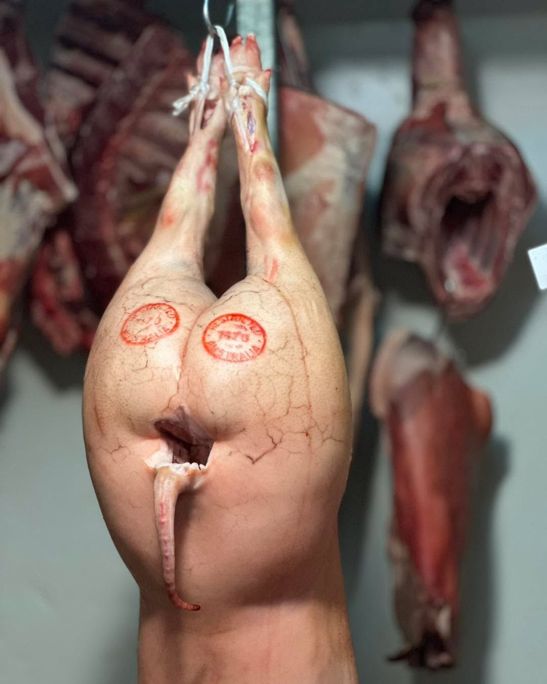 Carcass of a pale pink pig, hanging by its legs in a butcher shop, with other cuts of meat visible in the background.