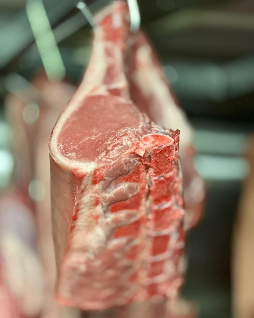 Raw Pork Chop Hanging from A Metal Hook; Pink Meat, White Fat — West High Street Boutique Butchery In Coffs Harbour, NSW