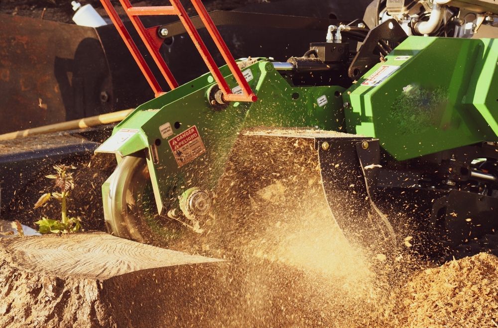 A green stump grinder cuts into a tree stump, creating a spray of wood chips and sawdust.