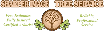 Sharper Image Tree Service logo with a tree illustration, stating 