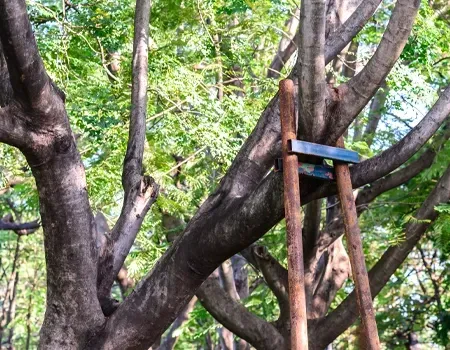 A tree service truck using a crane to remove a large tree trunk and branches next to a trailer.