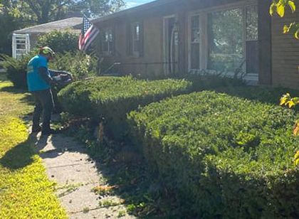 A worker in a blue shirt uses equipment to trim bushes in front of a house on a sunny day.