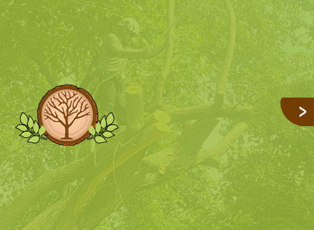 A logo for h & g tree experts with a tree in the background