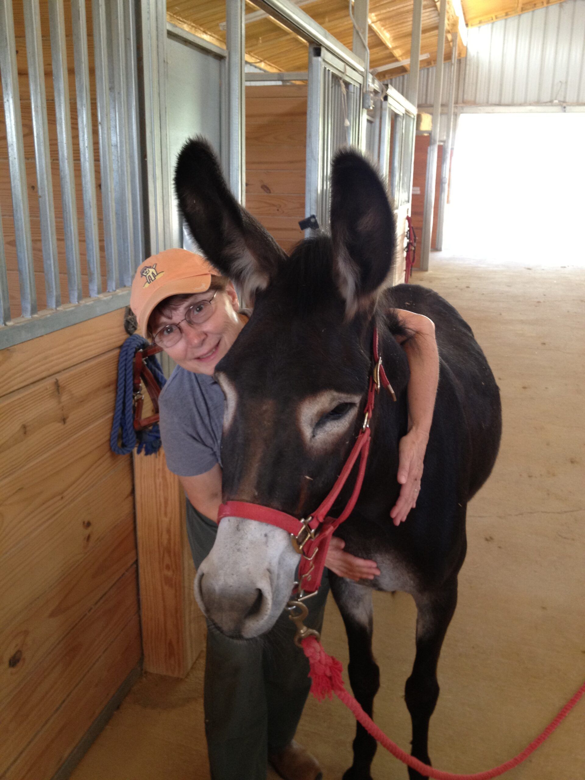 Lady Helping a Boy Ride a Horse - Anna, TX - Spirit Song Youth Equestrian Academy