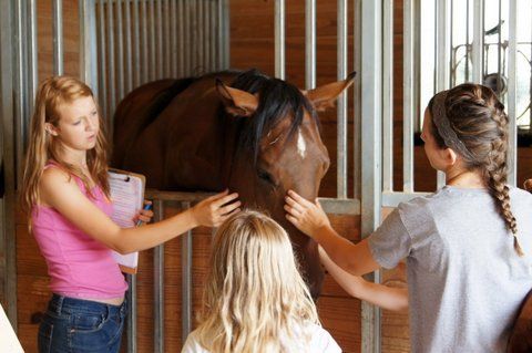 Girls Touching a Horse - Anna, TX - Spirit Song Youth Equestrian Academy