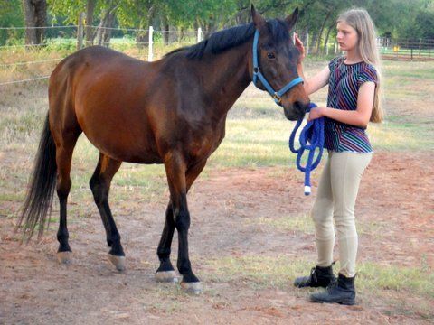 A young girl is petting a brown horse in a field - Anna, TX - Spirit Song Youth Equestrian Academy