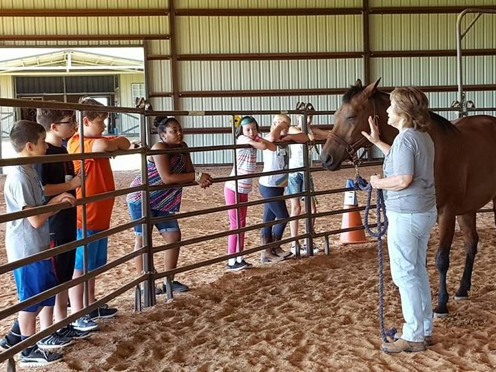 Group of Girls Looking at a Horse - Anna, TX - Spirit Song Youth Equestrian Academy