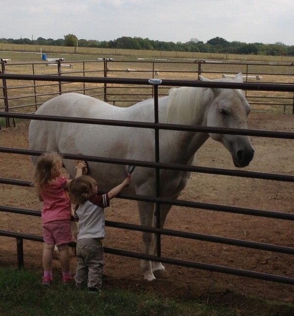 Two children standing next to a white horse behind a fence - Anna, TX - Spirit Song Youth Equestrian Academy