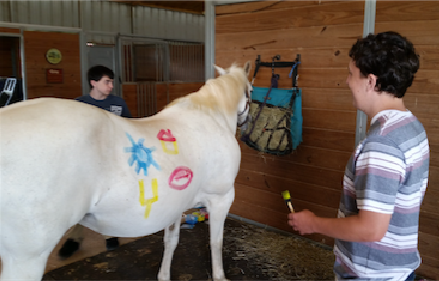 A man is standing next to a white horse with drawings on it 's back - Anna, TX - Spirit Song Youth Equestrian Academy