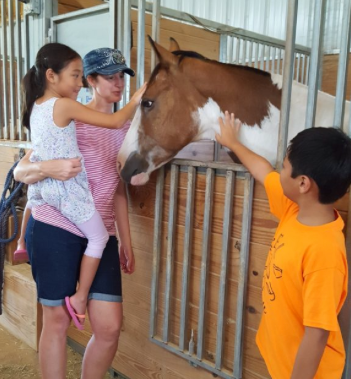 A boy in an orange shirt is petting a brown and white horse - Anna, TX - Spirit Song Youth Equestrian Academy