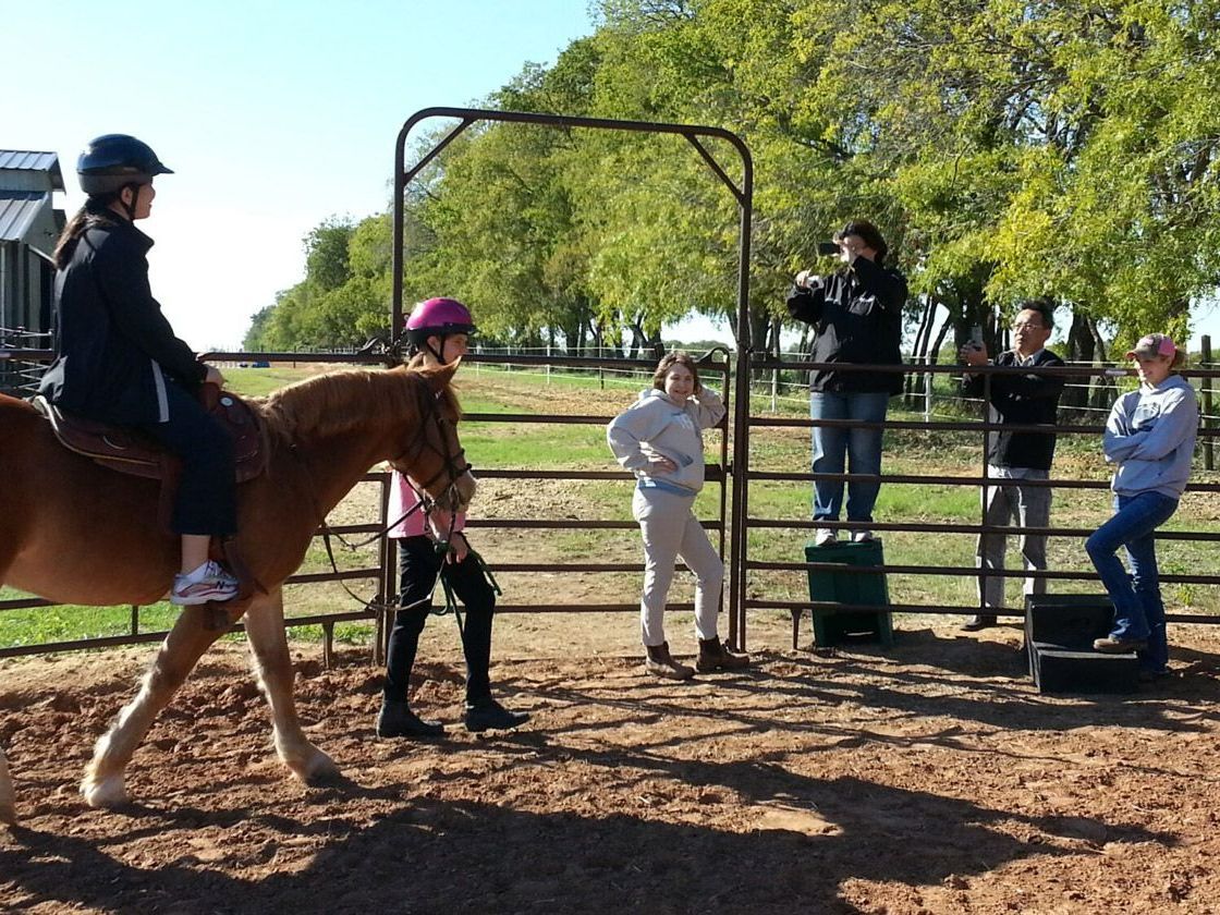 Group of Girls Looking at a Horse - Anna, TX - Spirit Song Youth Equestrian Academy