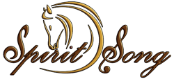 A logo for a company called spirit song with a horse on it.