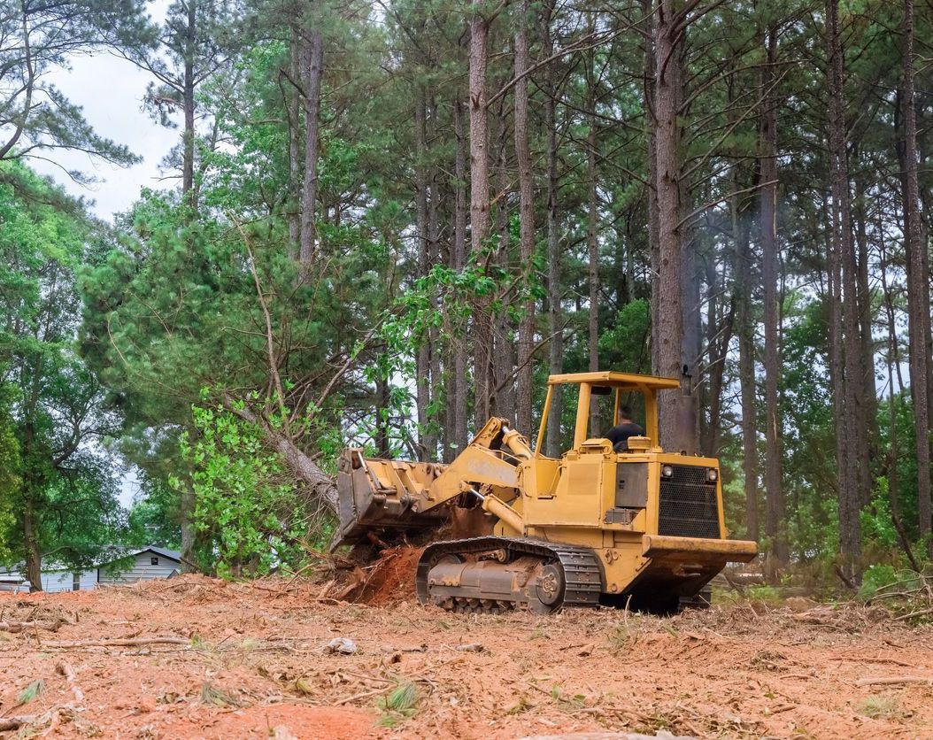 land clearing with skid steer
