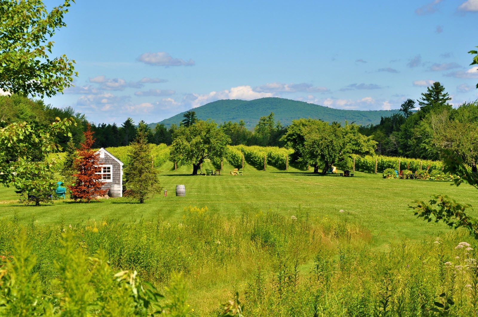 A small house in the middle of a grassy field with a mountain in the background.