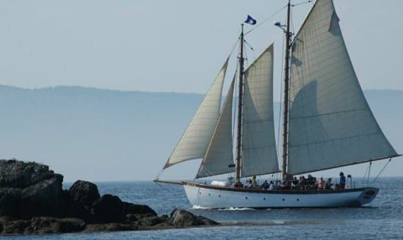 A sailboat is floating on top of a body of water.