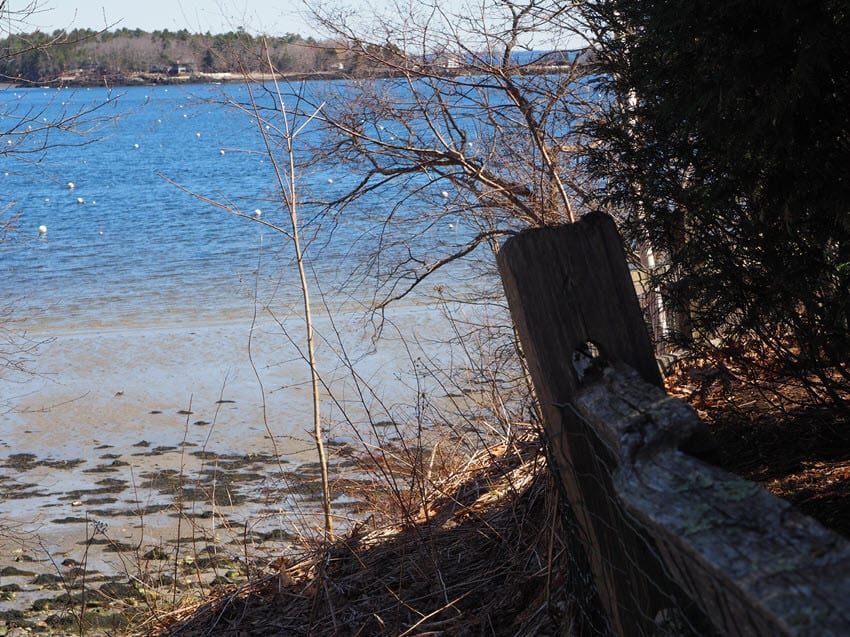 A wooden fence along the shore of a lake