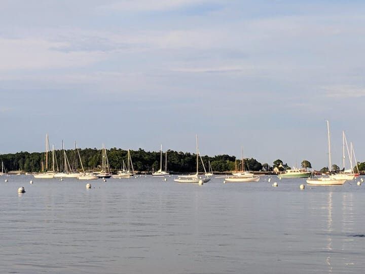 A group of sailboats are docked in a body of water.