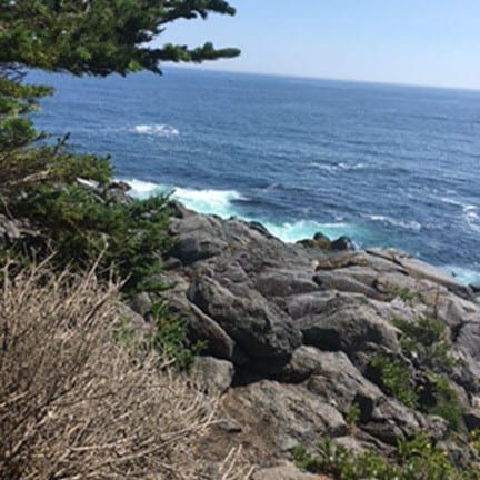 A view of the ocean from a rocky cliff with trees in the foreground.