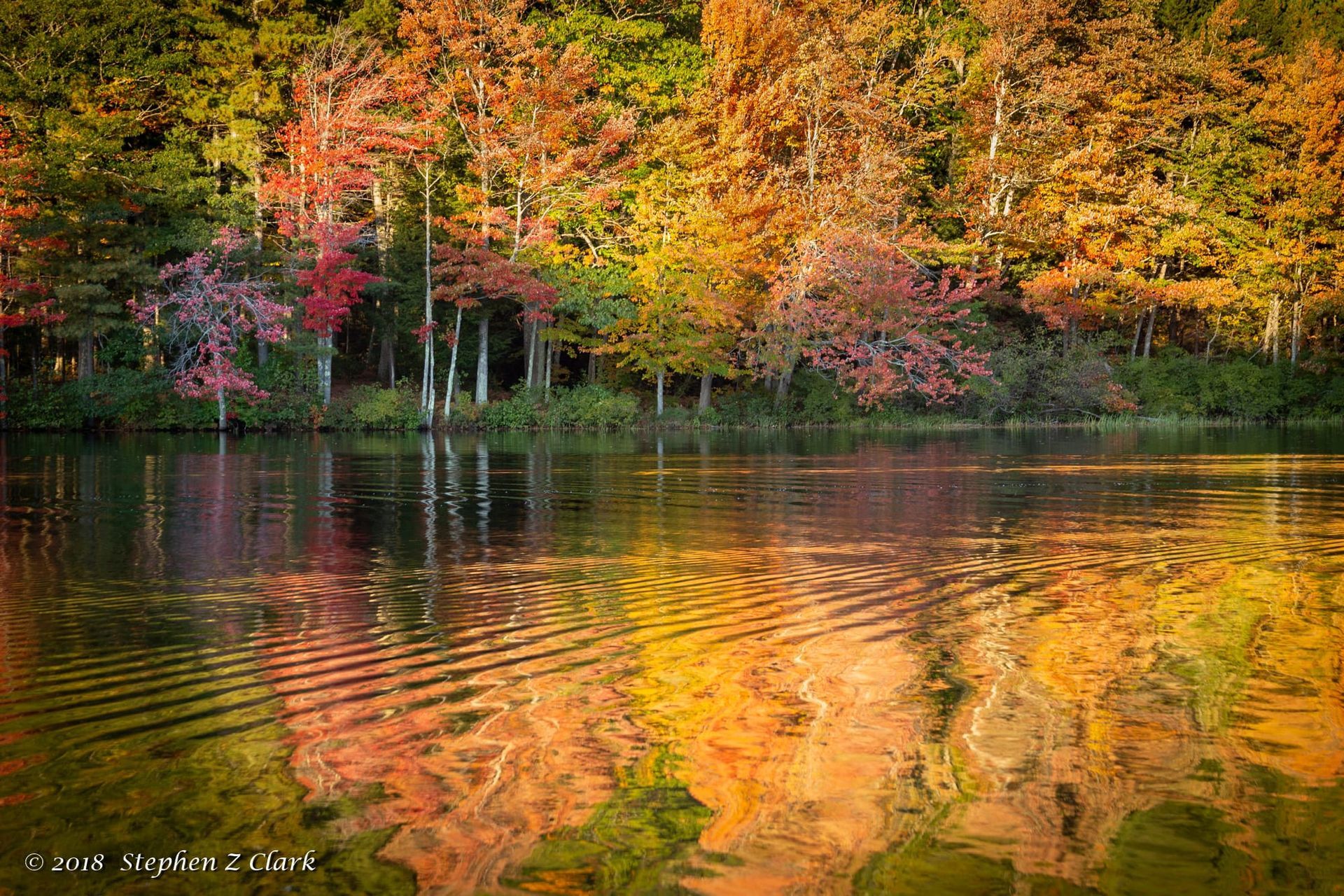 A lake surrounded by trees with autumn leaves reflected in the water.