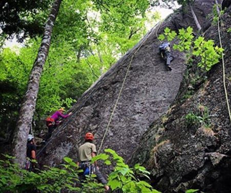 A group of people are climbing a rock wall in the woods.