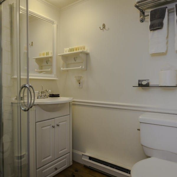 A bathroom with a toilet a sink and a mirror