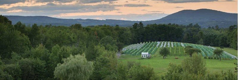 A view of a field with trees and mountains in the background.