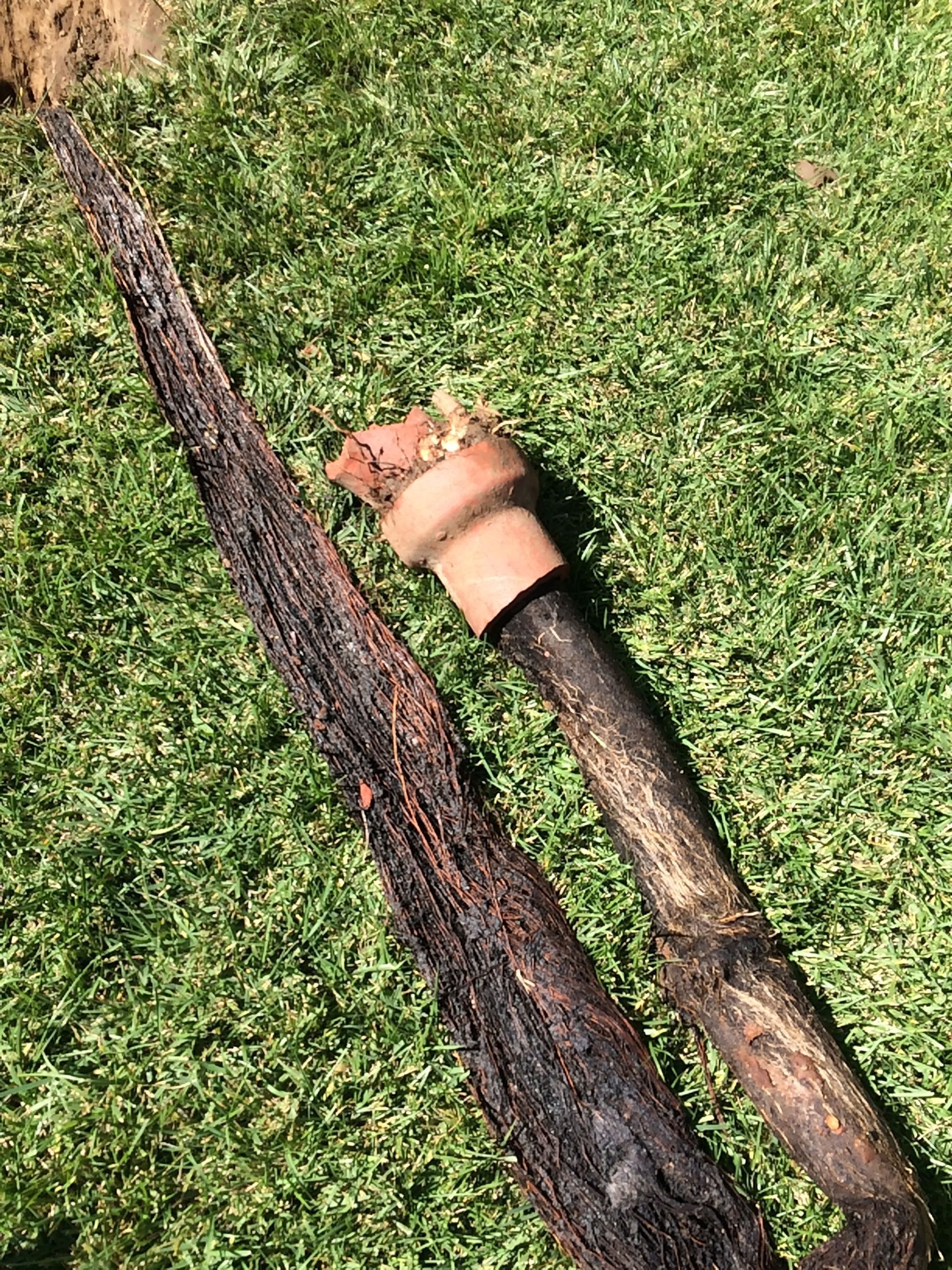 A Piece Of Wood Is Laying On Top Of A Lush Green Field - Oxnard, CA - 4J's Plumbing And Drain Cleaning