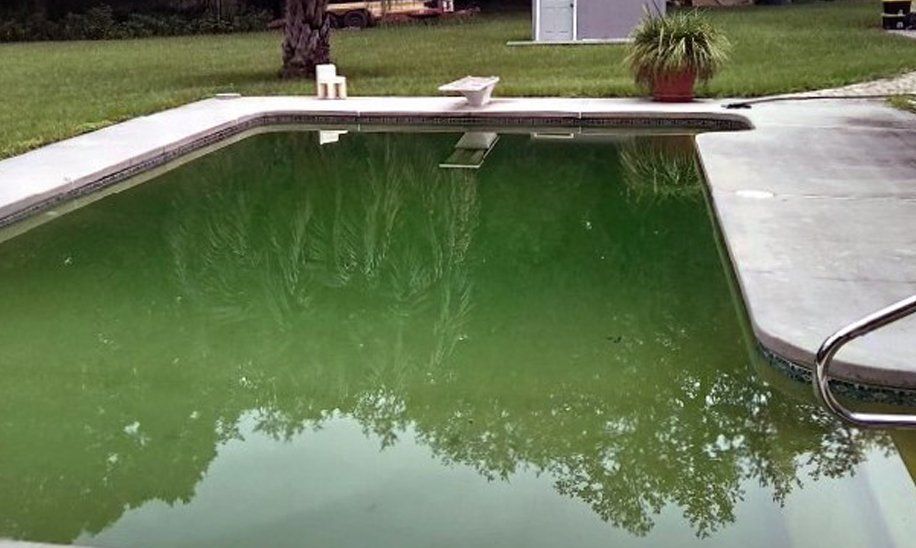 Swimming Pool Before Cleaning — Gainesville, FL — Florida Leisure Pool & Spa