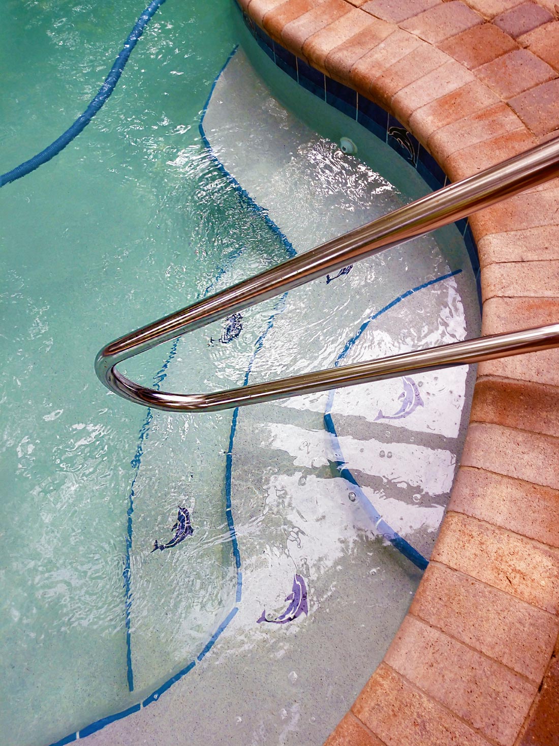 Pool with Dolphin Design — Gainesville, FL — Florida Leisure Pool & Spa