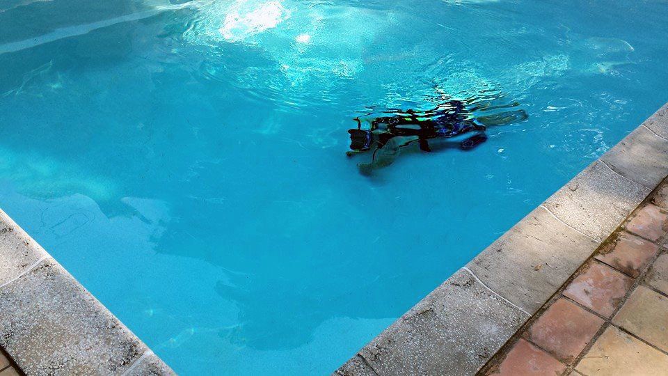 Swimming Pool Leak Detection — Gainesville, FL — Florida Leisure Pool & Spa