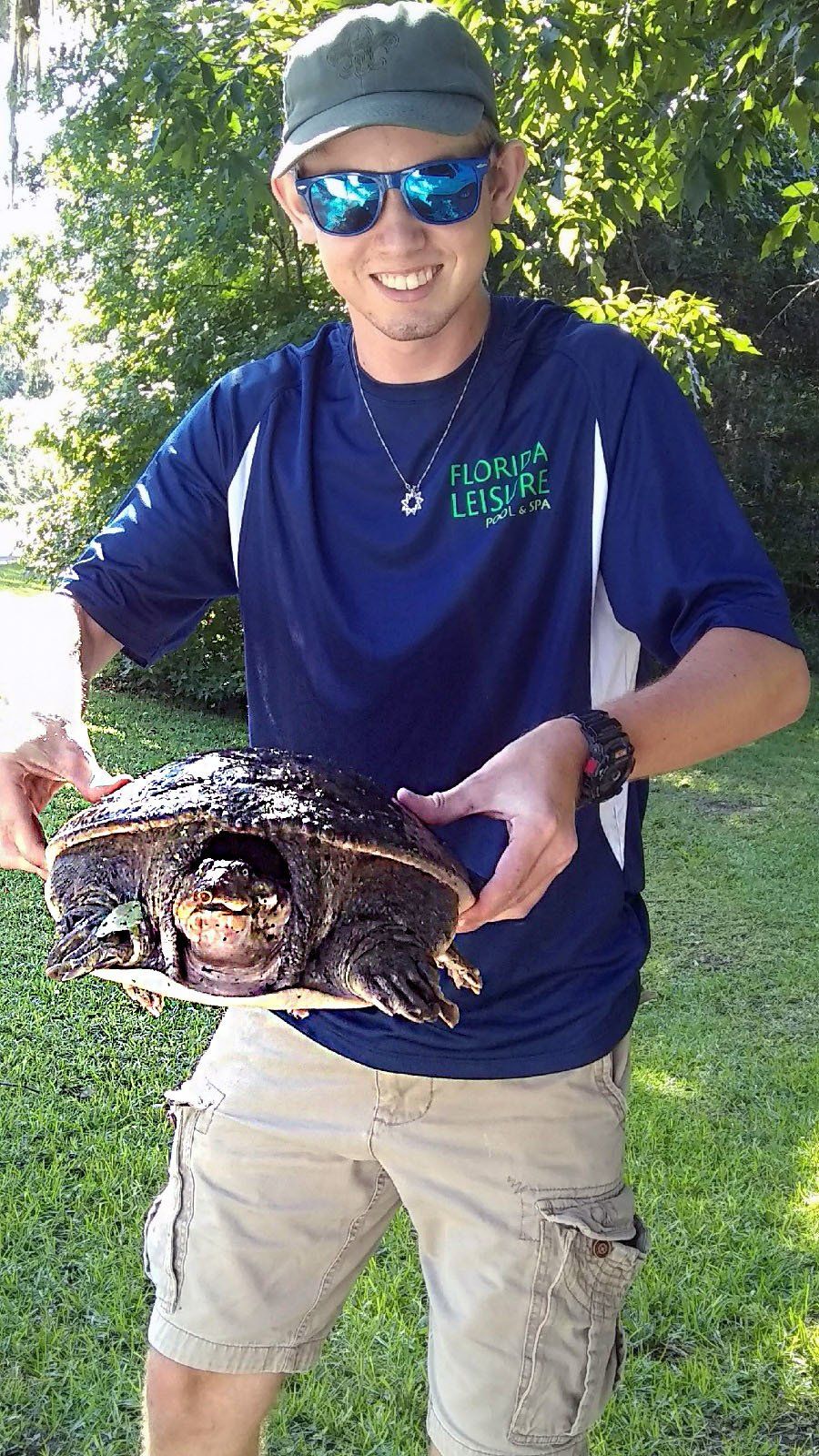Big Turtle in Swimming Pool - Gainesville, FL - Florida Leisure Pool & Spa