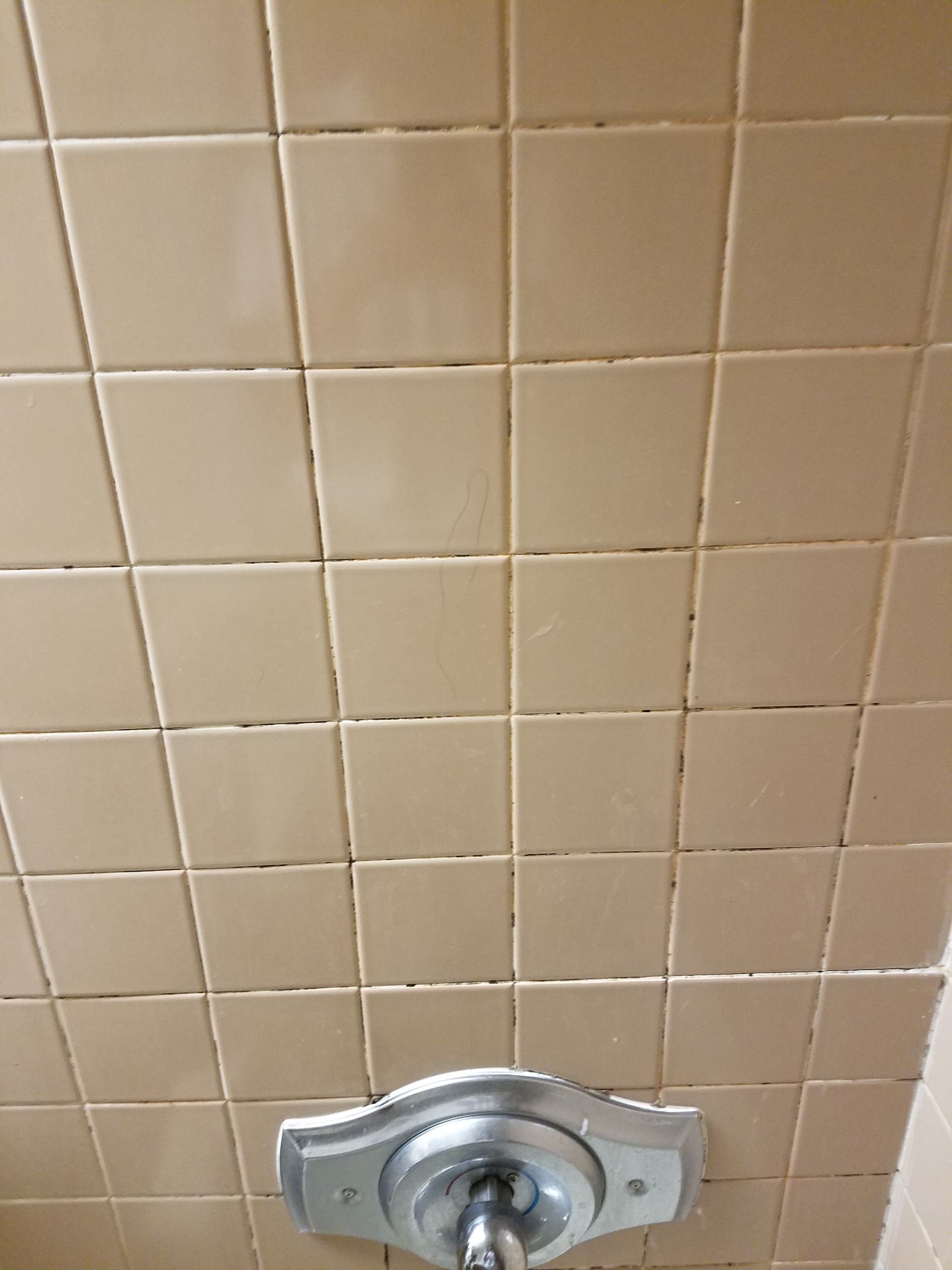 A shower head is hanging from the ceiling of a bathroom.