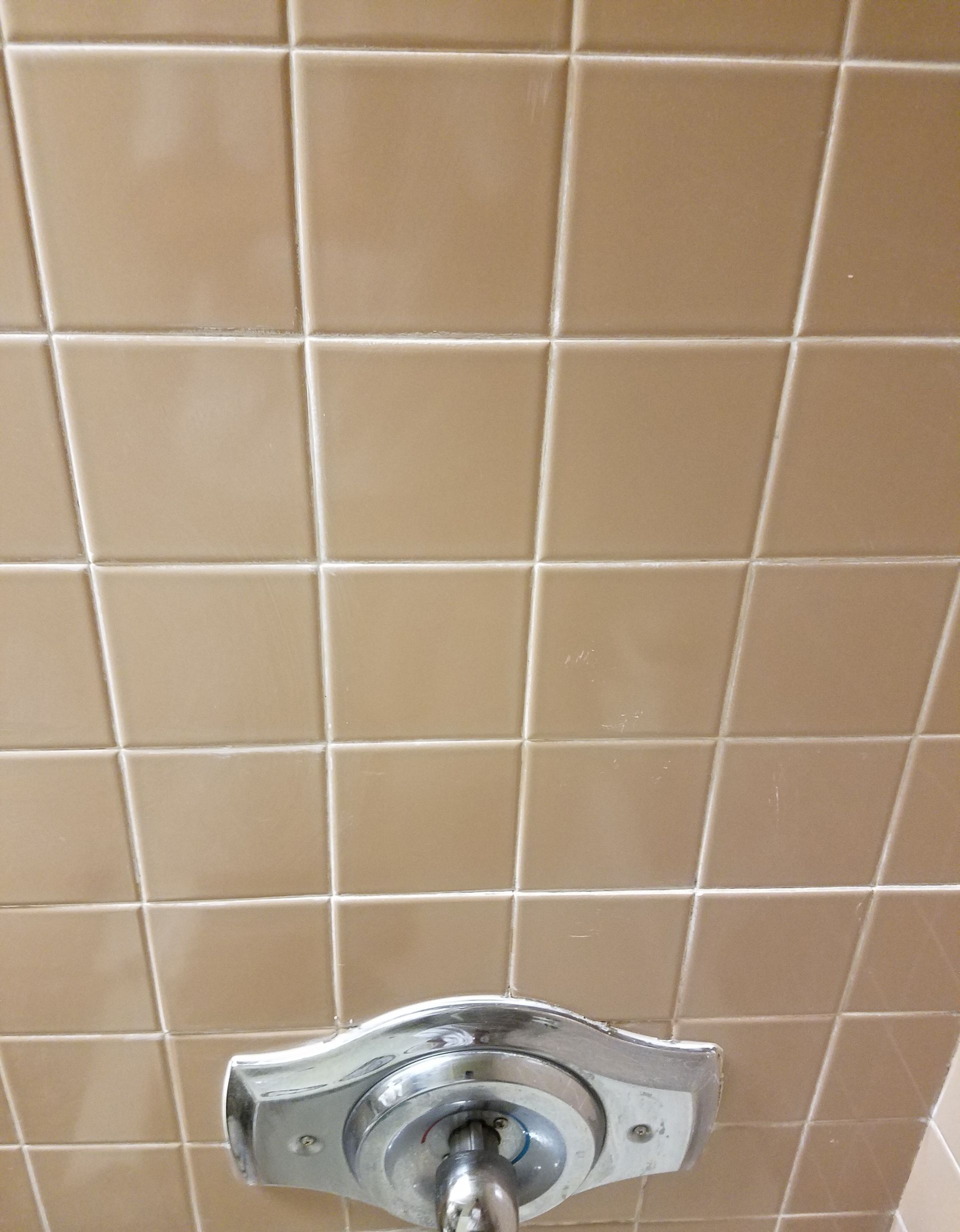 A shower head is hanging from the ceiling of a bathroom.