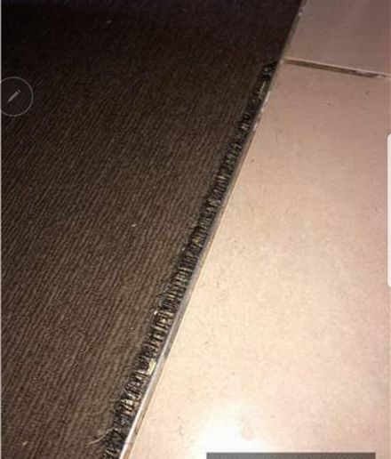 Professional carpet repair service