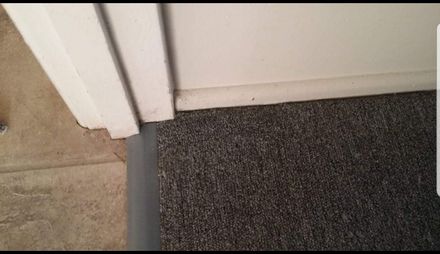 Carpet Repair — Pest control and Cleaning in Rockhampton, QLD
