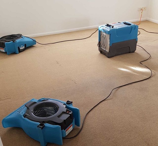 Water Damage Restoration The Gap<br>Water Damage Restoration Taringa<br>Water Damage Restoration St Lucia<br>Water Damage Restoration Sinnamon <a href=