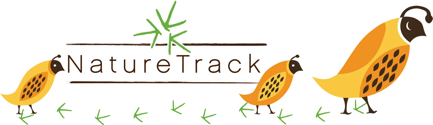 A logo for nature track with yellow birds and green leaves