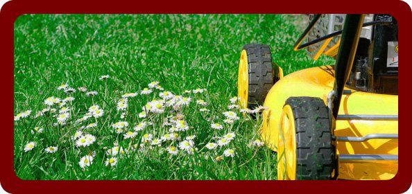 Agricultural supplies - Banbridge - Len McCoy - gardening equipment