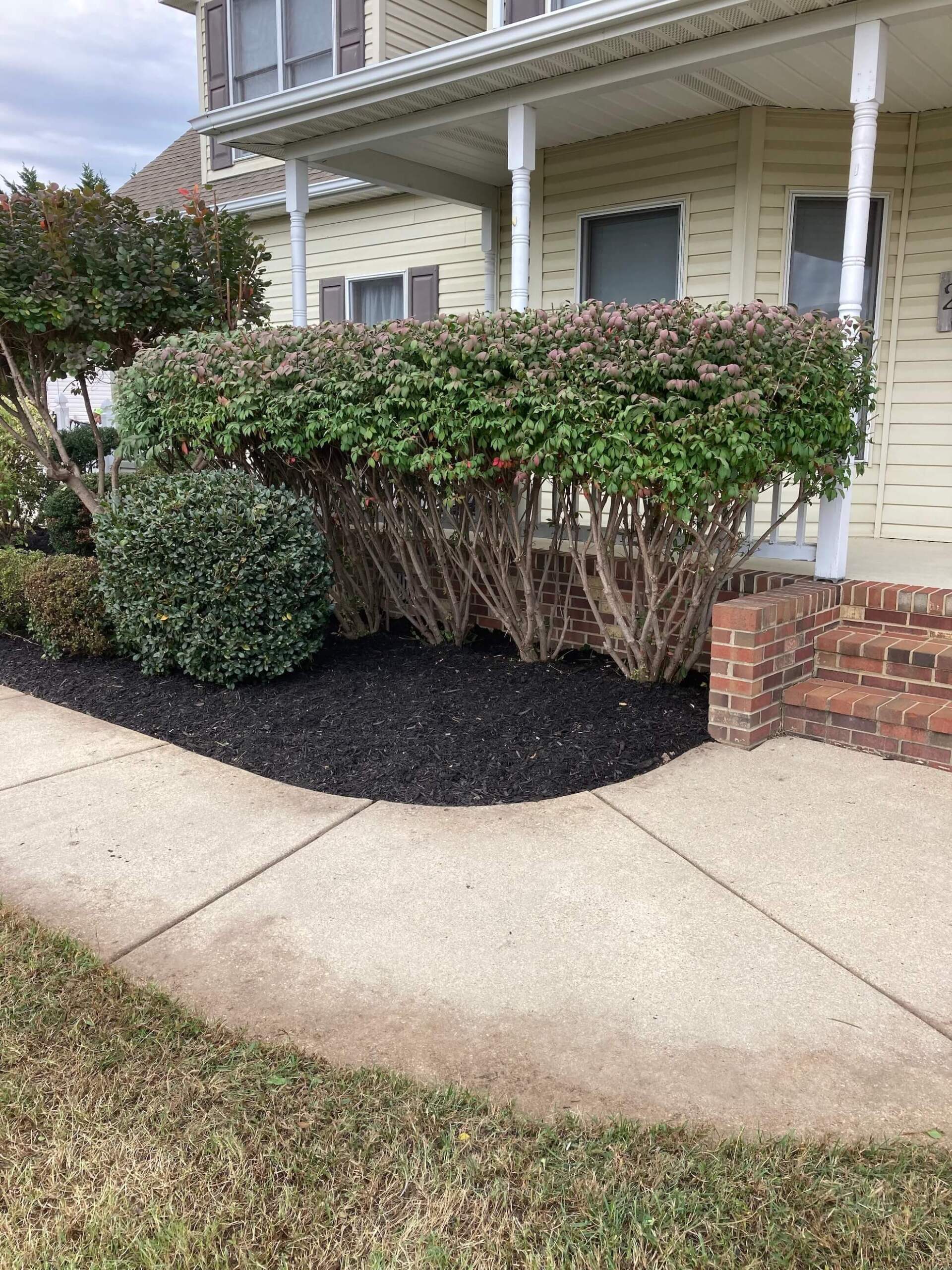 Landscaping Maintenance