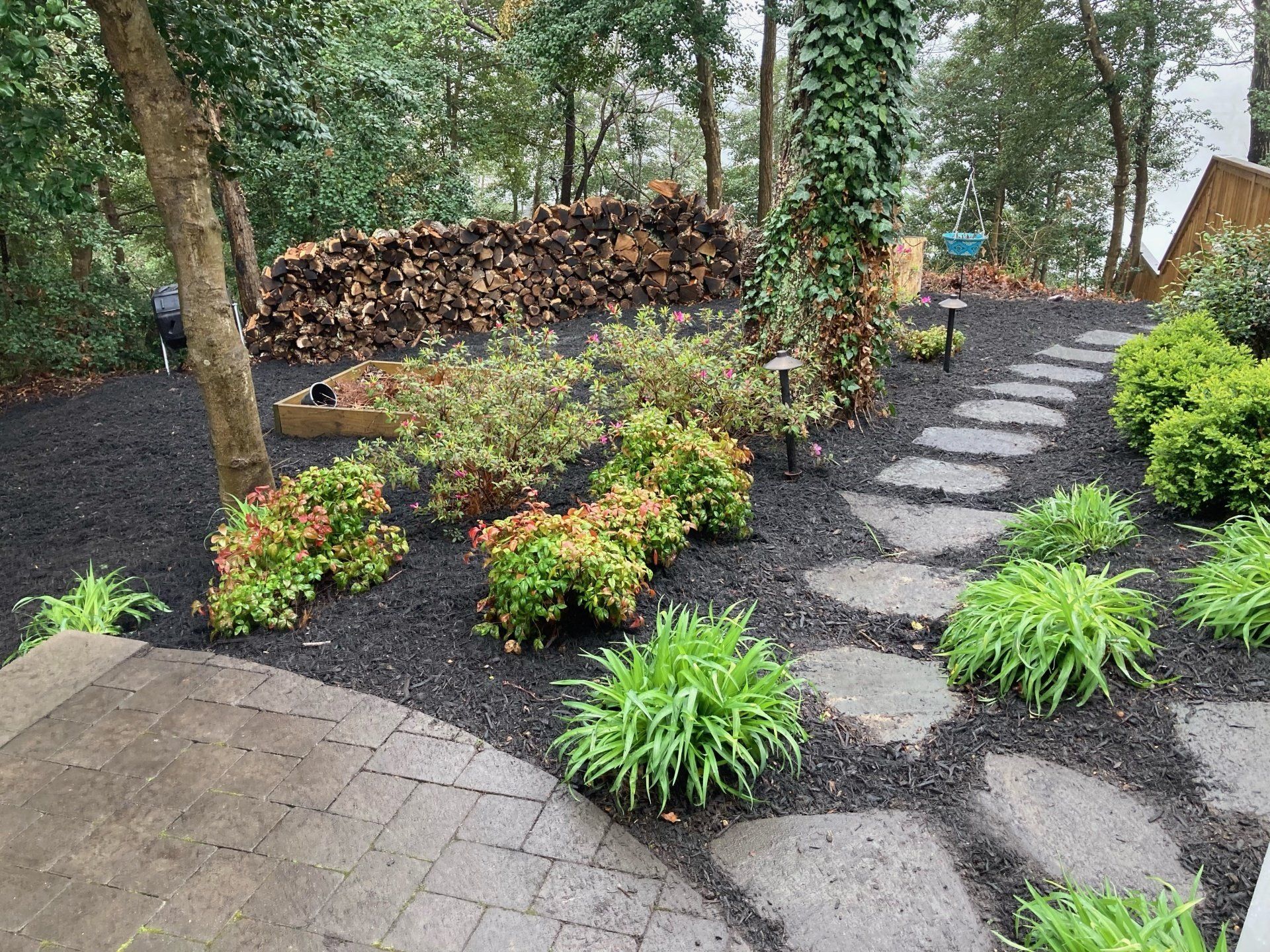 A garden with a stone walkway and a pile of wood in the background.