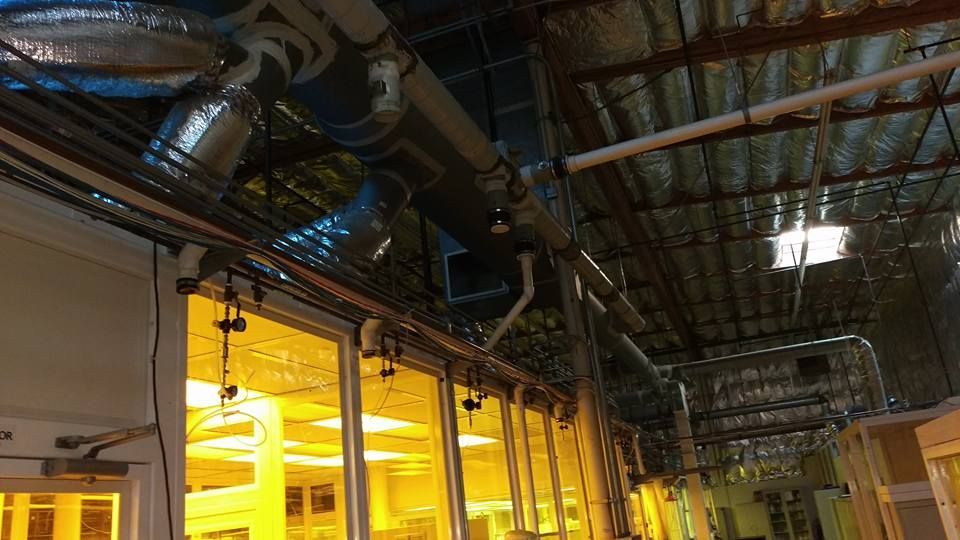 A large room with a lot of pipes hanging from the ceiling.