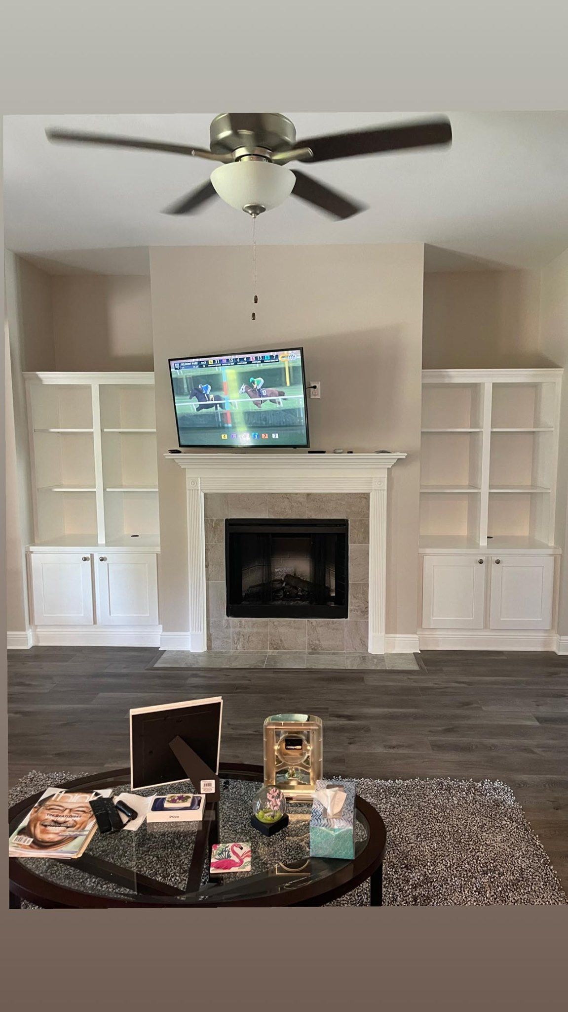 Entertainment shelves - Killen, AL - DIY Consulting