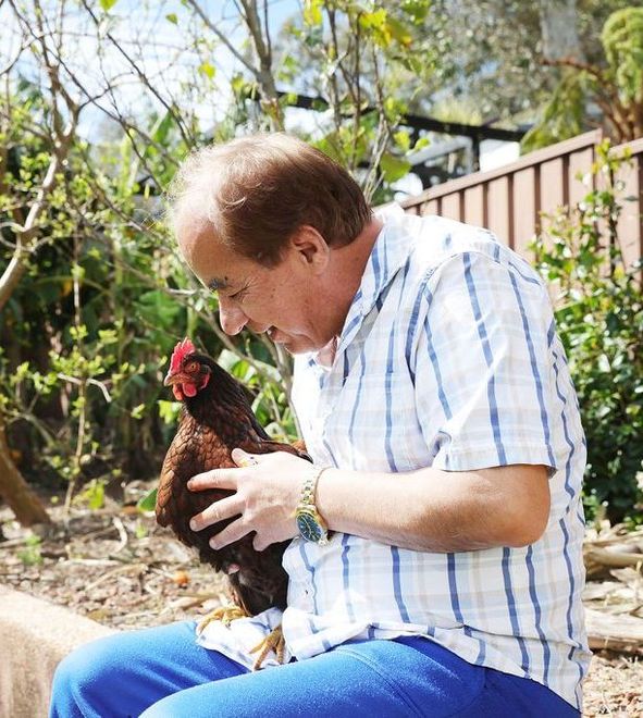 A man in a plaid shirt is petting a chicken