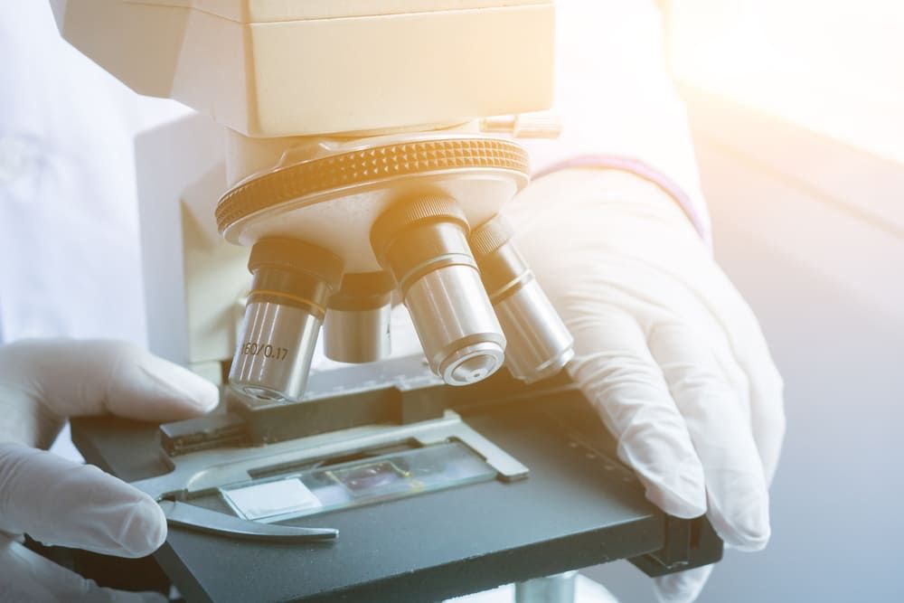 A Person Is Looking Through A Microscope In A Laboratory — Health Hub Mackay In Nebo, QLD