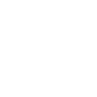 victoria village logo