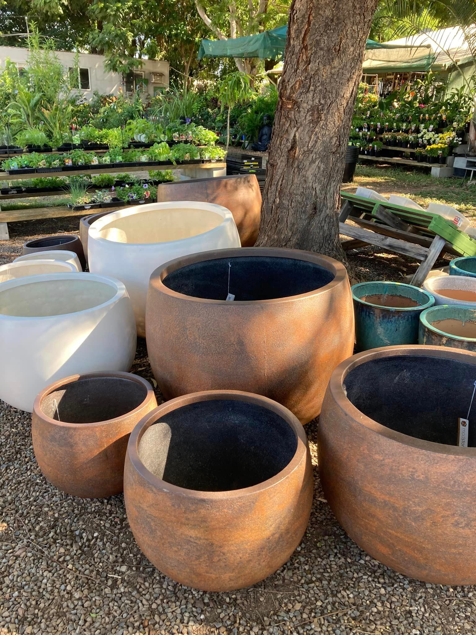 Various large, textured brown and white planters outside under a tree, in a garden center — Leichhardt River Nursery & Skip Bin Hire In Kalkadoon, QLD